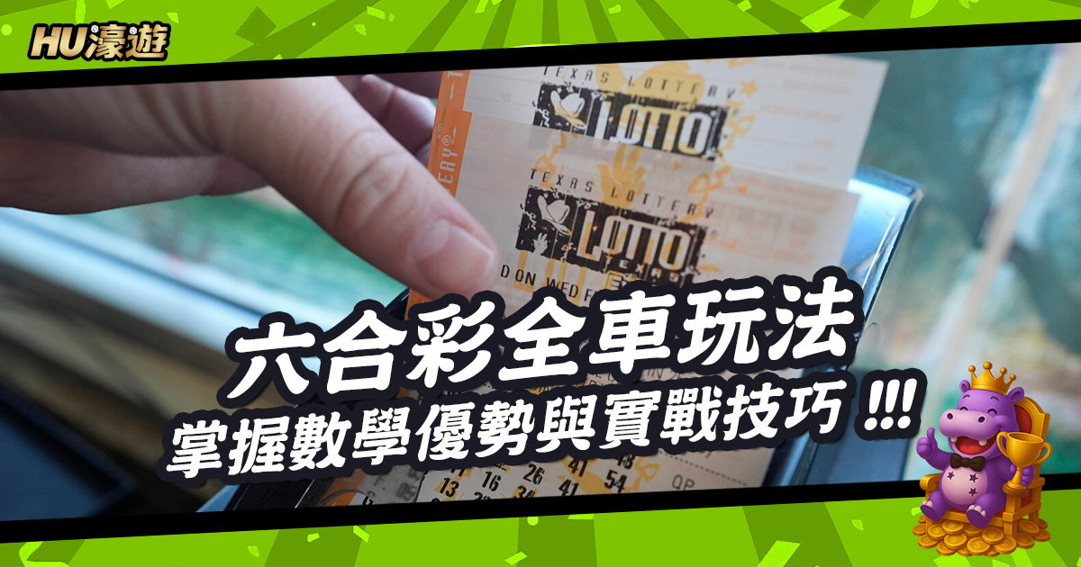 從零到精通：掌握六合彩全車玩法的數學優勢與實戰技巧